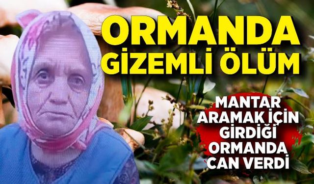 Mantar toplamak için gittiği ormanlık alanda cansız bedeni bulundu