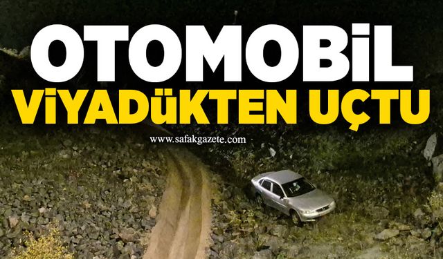 Otomobil viyadükten uçtu: 1 yaralı