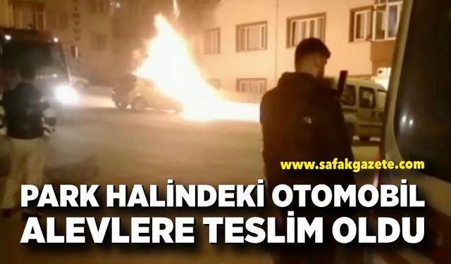 Park halindeki otomobil alevlere teslim oldu