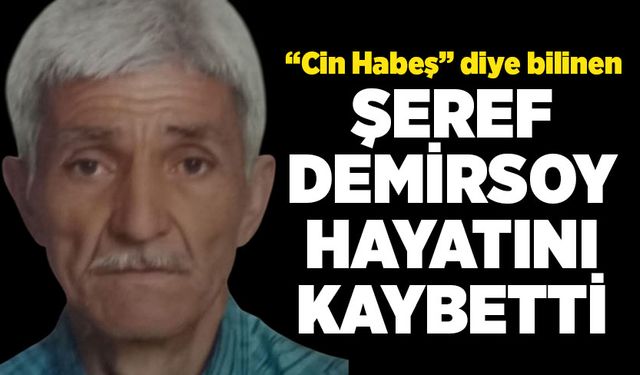 Şeref Demirsoy hayatını kaybetti