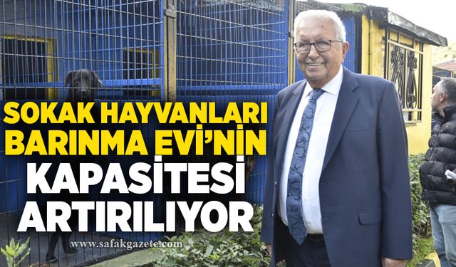 Sokak Hayvanları Barınma Evi’nin kapasitesi artırılıyor