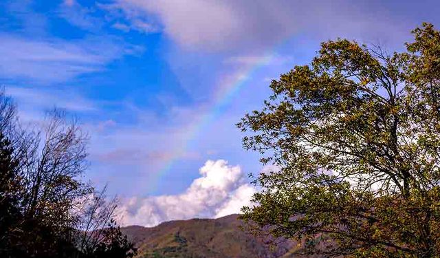 Yağmurdan sonra gökkuşağı şovu