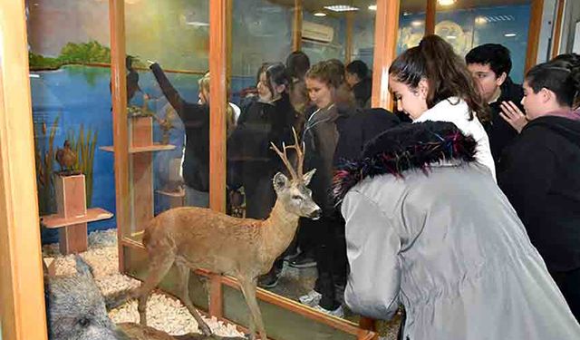 Botanik Bahçesi’nde eğitici keşif