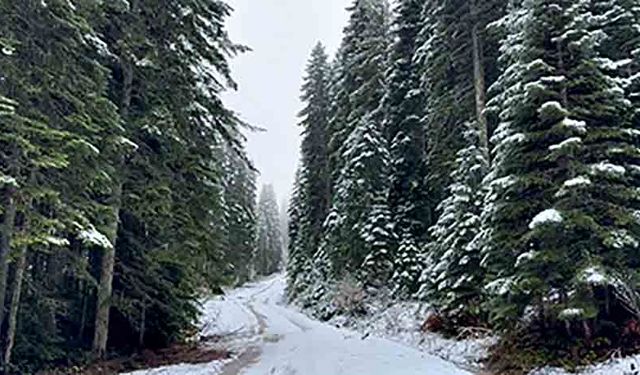 Yüksek kesimlerde kar sürprizi!