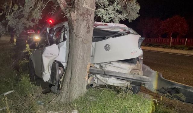 Ağaca çarpan otomobilin sürücüsü yaralandı