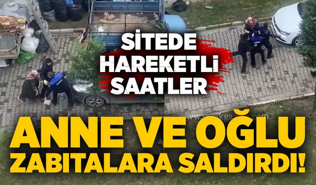 Anne ve oğlu zabıtalara saldırdı!