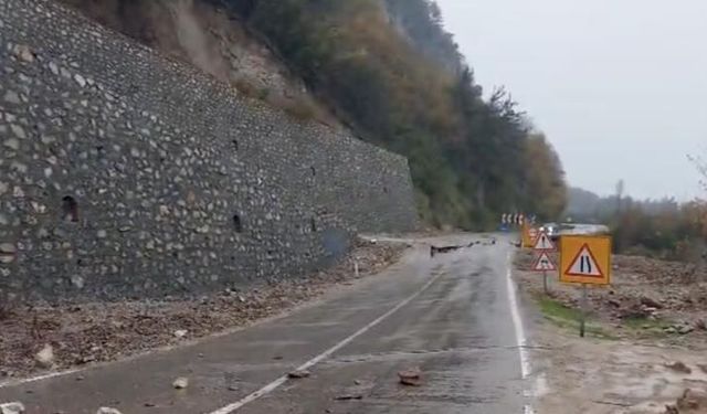 Heyelan yolu çökertti