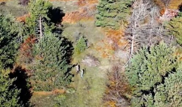 Kastamonu’da Dron ile Yakalanan Kaçak Avcılara Ceza