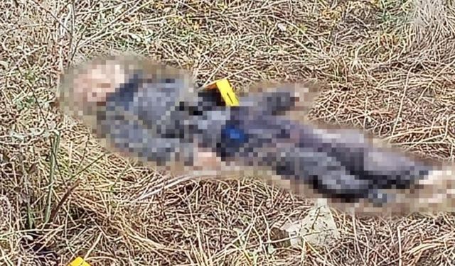 Kayıp olarak aranan yaşlı adam ölü bulundu