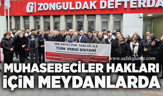 Muhasebeciler hakları için meydanlarda
