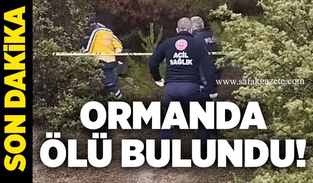 Ormanda ölü bulundu! Ekipler olay yerinde