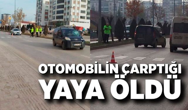 Hafif ticari aracın çarptığı yaya hayatını kaybetti