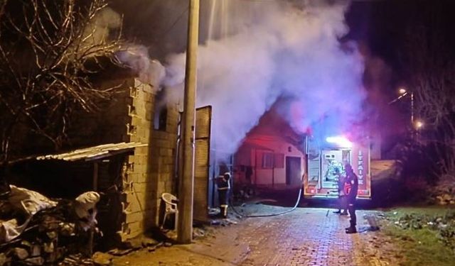 Samanlıkta çıkan yangında 5 koyun telef oldu