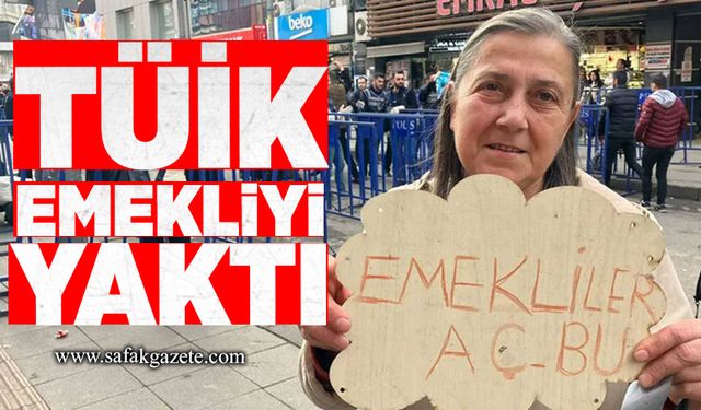 TÜİK emekliyi yaktı