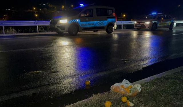 Yaşlı adam yolun karşısına geçmek isterken canından oldu