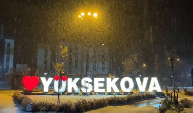 Yüksekova’da lapa lapa kar yağışı