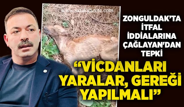 Zonguldak’ta itfal iddialarına Çağlayan'dan tepki: “Vicdanları yaralar, gereği yapılmalı”