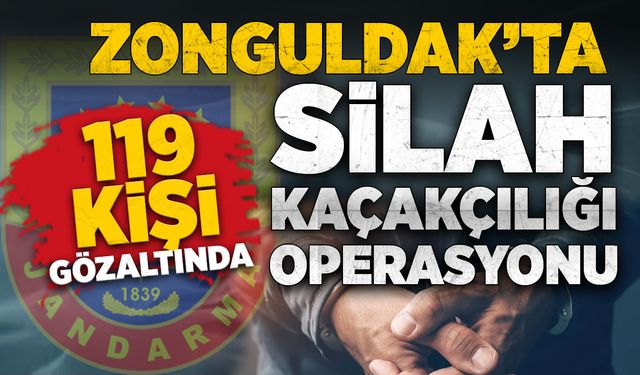 Zonguldak'ta silah kaçakçılığı operasyonu: 119 gözaltı