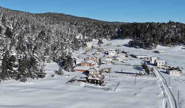 Sarıalan Yaylası kışa büründü: 14 köyün yaylasında kartpostallık manzara