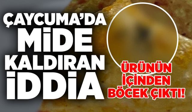 Çaycuma’da mide kaldıran iddia: Ürünün içinden böcek çıktı!