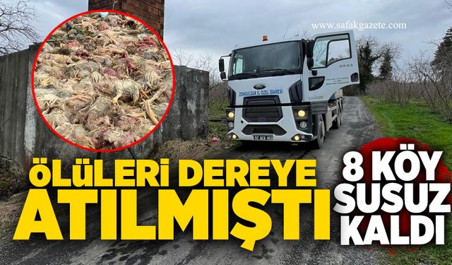 Ölüleri dereye atılmıştı: 8 köy susuz kaldı
