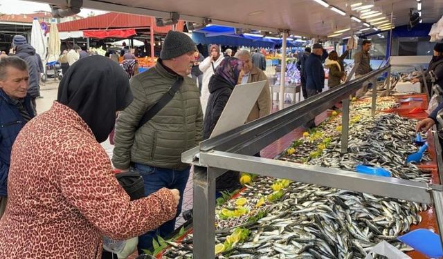 Balık tezgahlarında hamsi yok, vatandaş diğer balıklara yöneldi