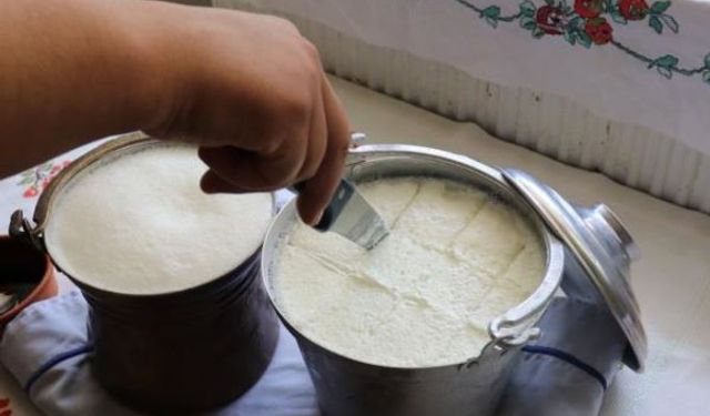 Bartın’ın Manda Yoğurdu Kültürel Miras Listesinde