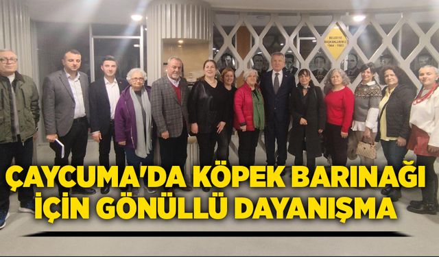 Çaycuma'da Köpek Barınağı İçin Gönüllü Dayanışma