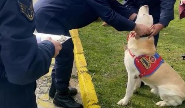 Jandarmanın “Medyum”u 10 Yıllık Görevini Tamamladı