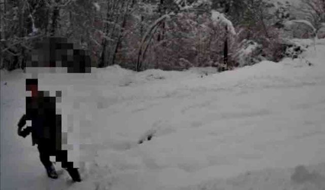 Kaçak avcı fotokapana yakalandı