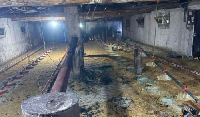 Kümes yangını büyümeden söndürüldü