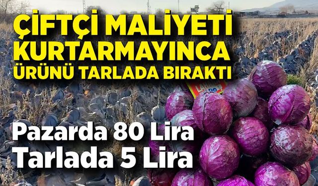 Pazarda 80 Lira, Tarlada 5 Lira: Karalahanada Büyük Uçurum