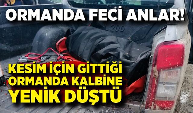 Orman işçisi kesim sırasında kalp krizi geçirerek öldü