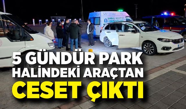 Dinlenme Tesisinde Park Halindeki Araçtan Ceset Çıktı