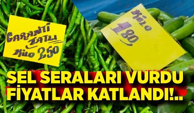 Selde vurulan seralar fiyatları uçurdu: Biber 250 TL