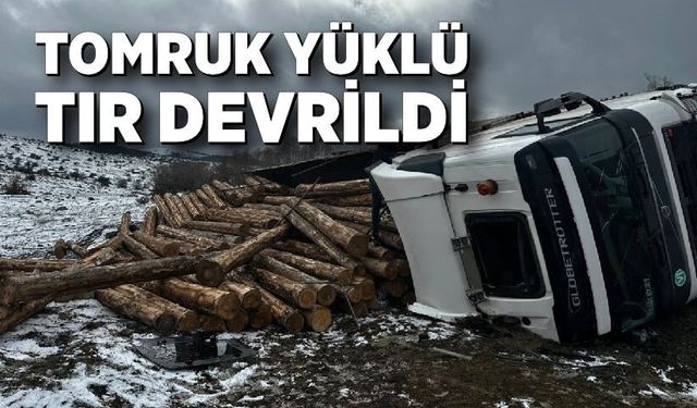 Tomruk Yüklü Tır Devrildi: 1 Yaralı