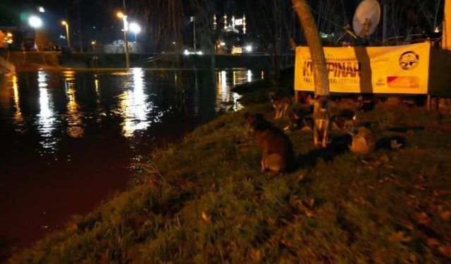 Tunca Taştı: Sarayiçi Sular Altında