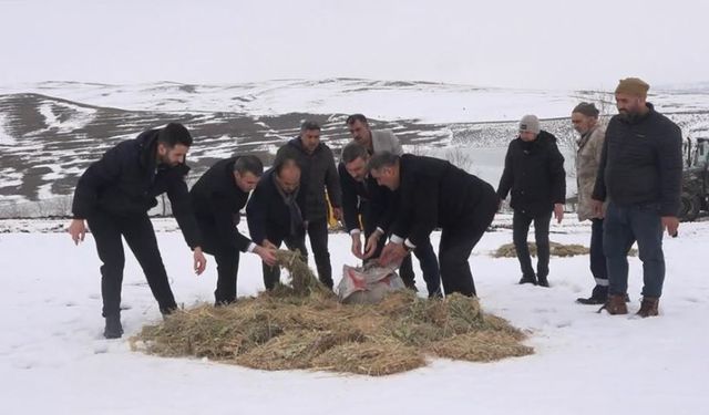 Muş’ta yaban hayvanları için dağlara yem bırakıldı