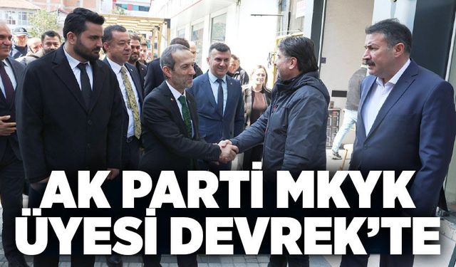 AK Parti MKYK üyesi Devrek’te