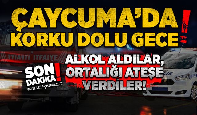 Çaycuma’da korku dolu gece: Alkol aldılar, ortalığı ateşe verdiler!