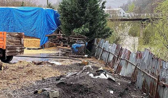 Dereye hayvansal atık bırakan besi çiftliği işletmecileri  yakalandı