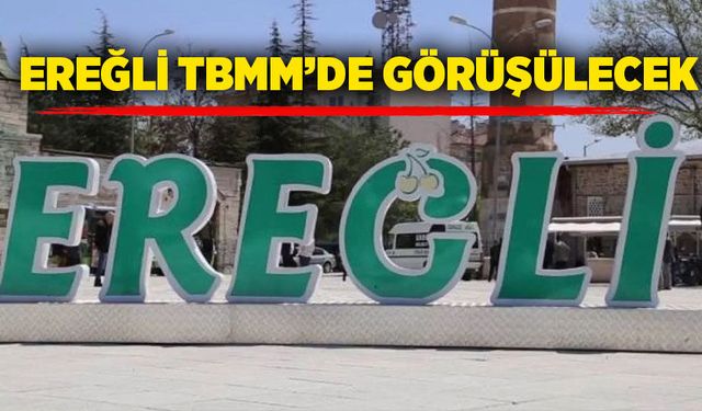 Ereğli TBMM’de görüşülecek