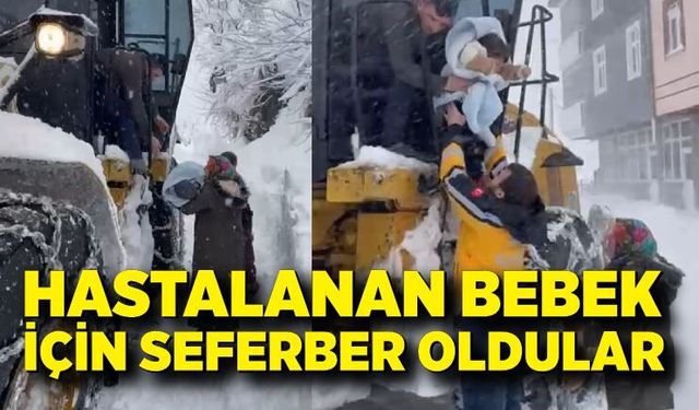 Hastalanan bebek, kardan kapanan yolda iş makinesi ile taşındı