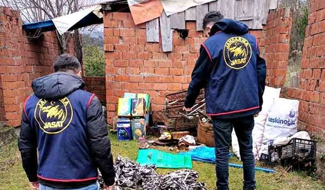 JASAT’tan Başarılı Operasyon: Hırsızlık Zinciri Kırıldı