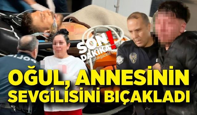 Oğul annesinin sevgilisini bıçakladı, anne ise polis memurunu tokatladı