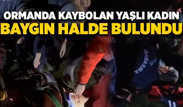 Ormanda kaybolan yaşlı kadın baygın halde bulundu