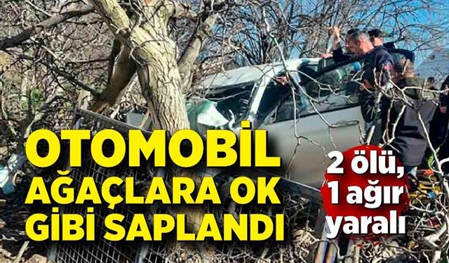 Otomobil ağaçlara ok gibi saplandı: 2 ölü, 1 ağır yaralı