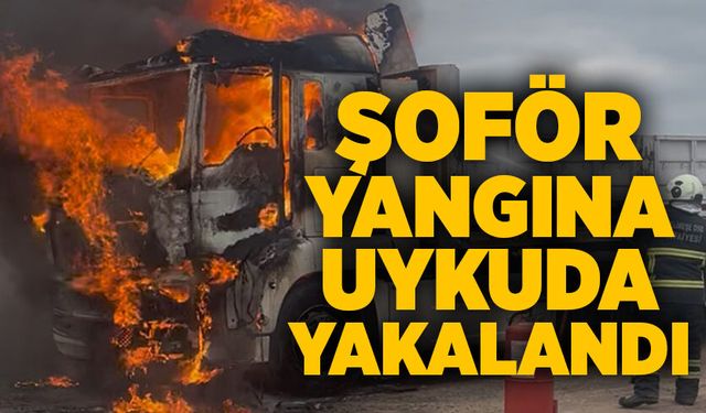 Park halindeki tır alev alev yandı! Şoför uykuda yakalandı