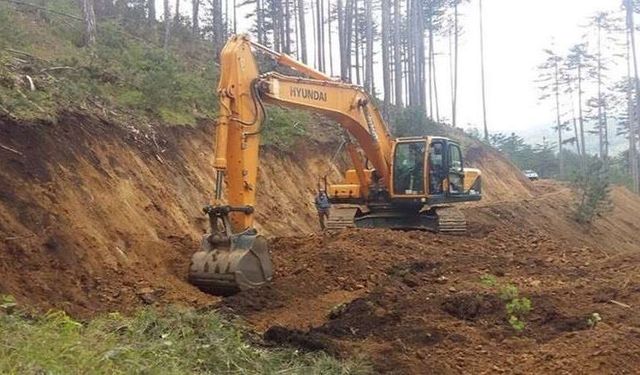 Dirgine Orman İşletme Müdürlüğü  Sanat Yapıları  İşleri Yaptırılacaktır