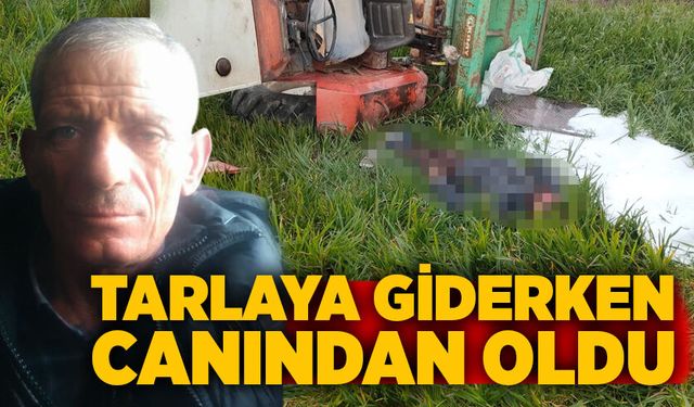 Tarlaya giderken canından oldu